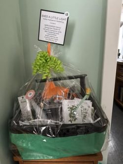 V_647097402_34833840562867811_5085873620652896901_n